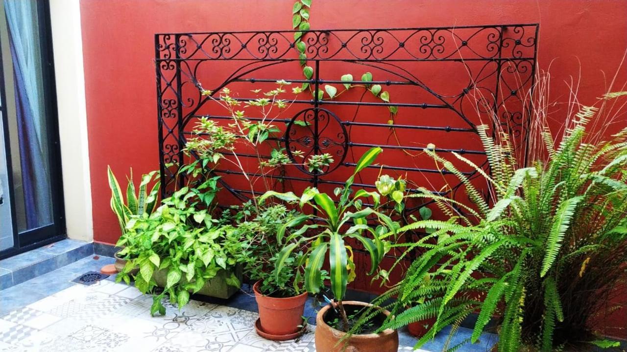 Apartment Casa Centrica Con Cochera Y Patio *
